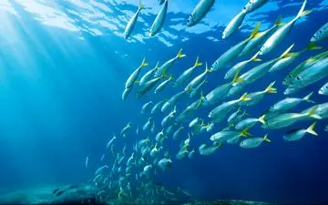  عکس منتخب نشنال جئوگرافیک | مسیر حرکت