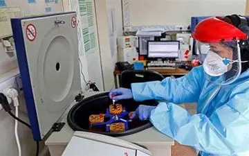 افزایش شمار مبتلایان به کرونا در الجزایر 