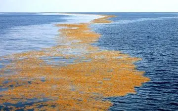 دریای عجیبی که ساحل ندارد