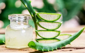 از فواید بی‌نظیر آلوئورا خبر دارید؟

