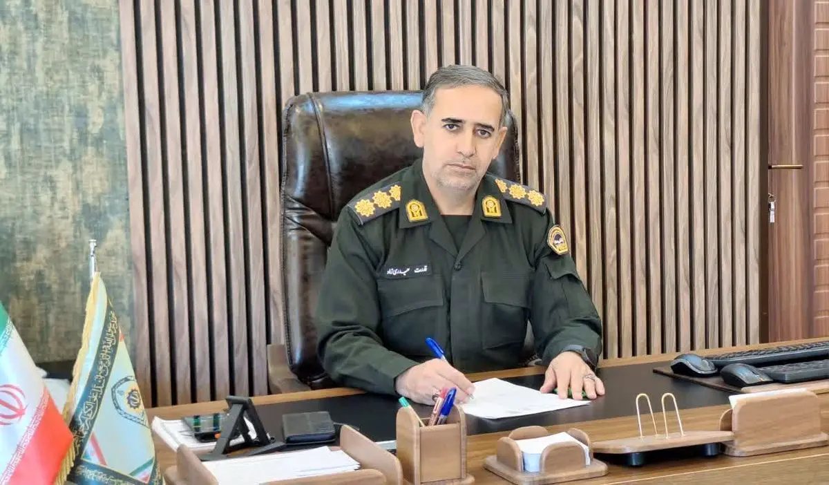 سارق حرفه ای با شش فقره سرقت در ایلام دستگیر شد