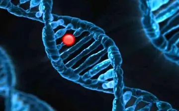 
درمان درد با یک روش جدید ژن‌درمانی