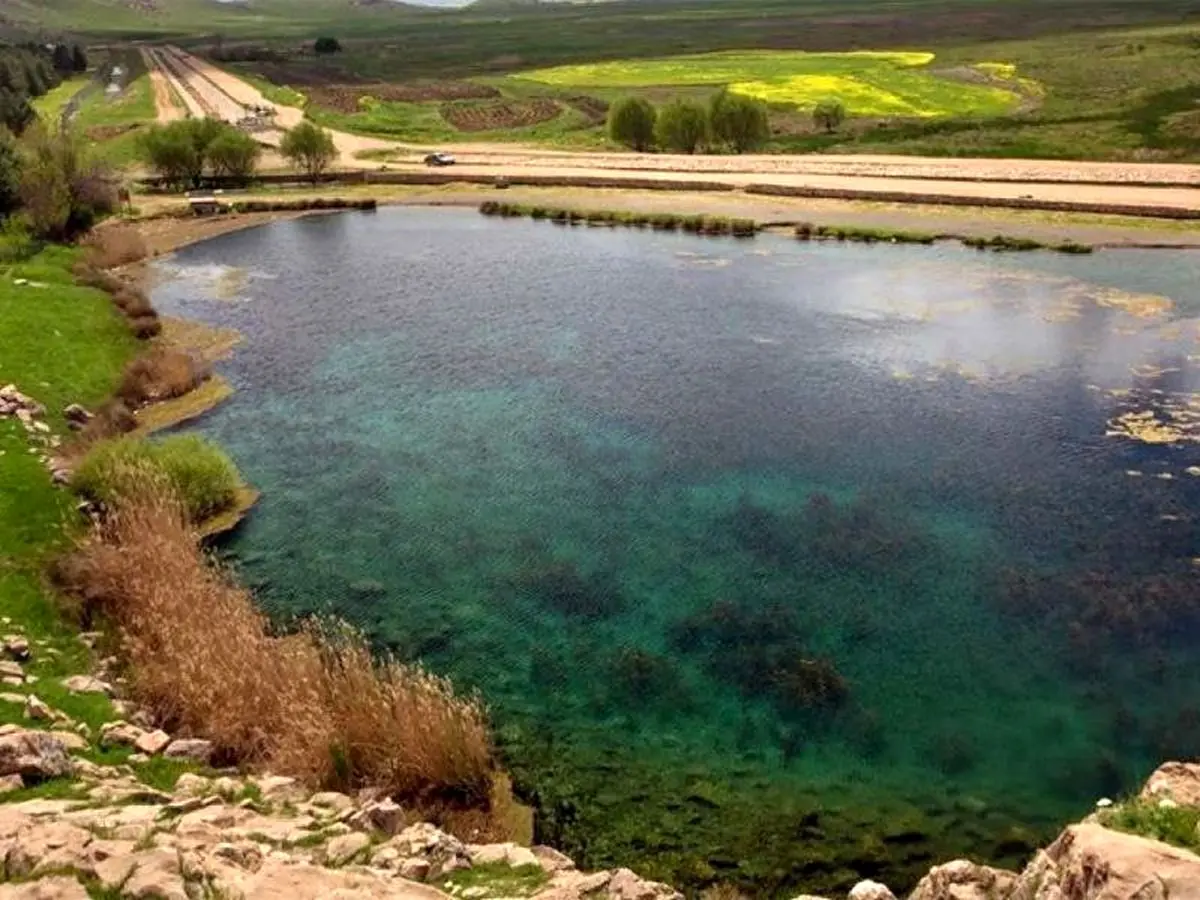 خبر خوش برای دوستداران طبیعت؛ تالاب هشیلان دوباره جان گرفت