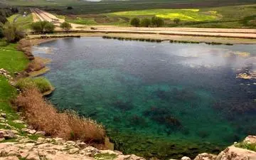 خبر خوش برای دوستداران طبیعت؛ تالاب هشیلان دوباره جان گرفت