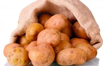 این سیب زمینی‌ها باعث مرگ می‌شوند!/ چه مقدار سیب زمینی سمی کشنده است؟