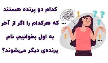 دو پرنده که نام هر کدام رو  برعکس کنی، نام پرنده دیگر است!