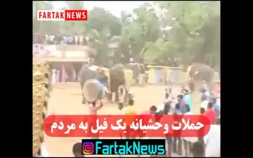 حملات وحشیانه یک فیل به مردم /آیا تا به حال شاهد حملات کشنده یک فیل بوده اید؟