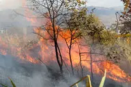 پارک ملی دز دچار آتش سوزی گسترده شد