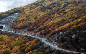 تردد روان در محورهای شمالی کشور