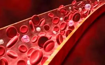 پلاکت خون را با این خوراکی ها بالا ببرید