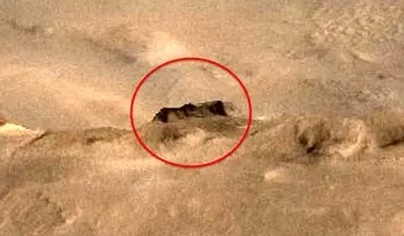 کشف سازه ای عجیب روی مریخ! +فیلم 