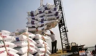 واردات برنج نصف شد ؛ چرا تاجران دیگر به ایرانی ها برنج نمی دهند؟ | دبیر انجمن واردکنندگان برنج: موضوع را به دولت و جهادکشاورزی اعلام کردیم