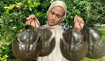 پخت غذا با خرچنگ نعل اسبی در طبیعت مالزی | تجربه‌ای روستایی و متفاوت