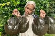 پخت غذا با خرچنگ نعل اسبی در طبیعت مالزی | تجربه‌ای روستایی و متفاوت