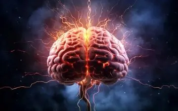 مغزمان چطور تا این اندازه بزرگ شد؟
