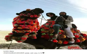 شترسواری شهرزاد کمالزاده در تخت جمشید (عکس)