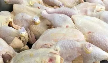 نرخ جدید مرغ امروز 26 مرداد 1404؛ قیمت مرغ تازه و منجمد در بازار