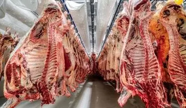 قیمت گوشت قرمز امروز | نرخ گوسفندی و گوساله ۱۲ شهریور