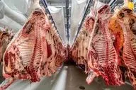 قیمت گوشت قرمز امروز | نرخ گوسفندی و گوساله ۱۲ شهریور