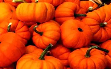 خوراکی مفید برای تقویت سیستم ایمنی بدن