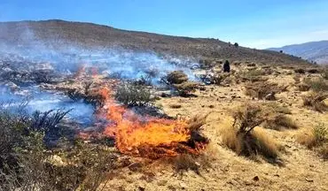 آتش‌سوزی ارتفاعات «کوه خان یک» ممسنی مهار شد
