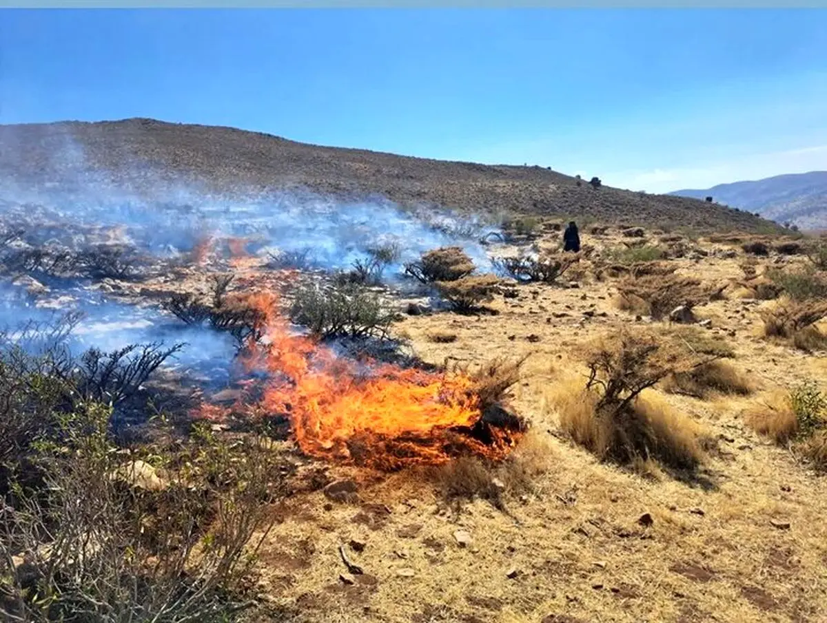 آتش‌سوزی ارتفاعات «کوه خان یک» ممسنی مهار شد