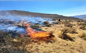 آتش‌سوزی ارتفاعات «کوه خان یک» ممسنی مهار شد