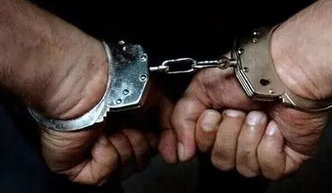 مخارج بالای دوست دختر کار را به سرقت کشاند