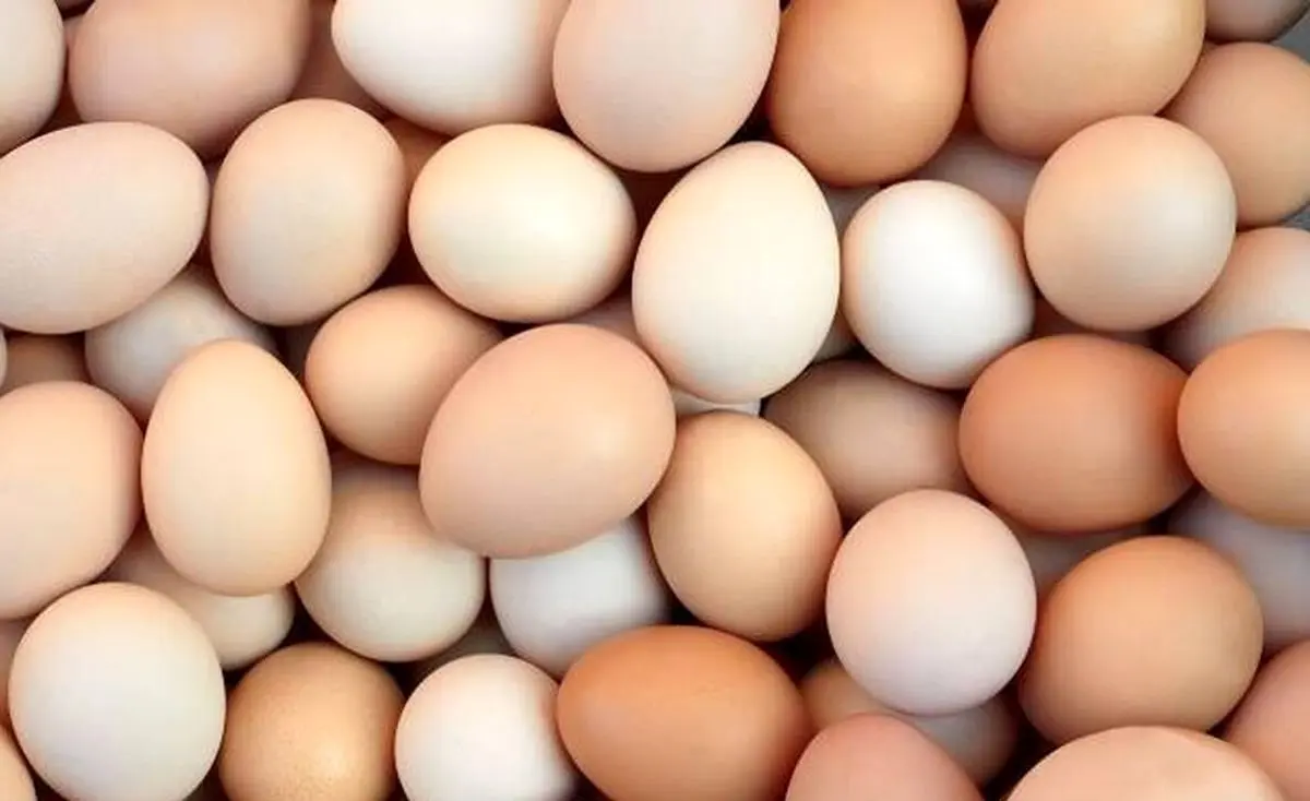 تخممرغ، دشمن کبد چرب یا دوست آن