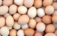 تخم‌مرغ، دشمن کبد چرب یا دوست آن