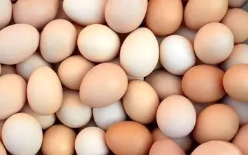 تخم‌مرغ، دشمن کبد چرب یا دوست آن