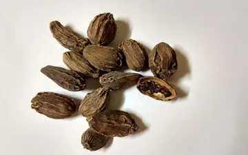 با این ادویه سرطان را ضربه فنی کنید