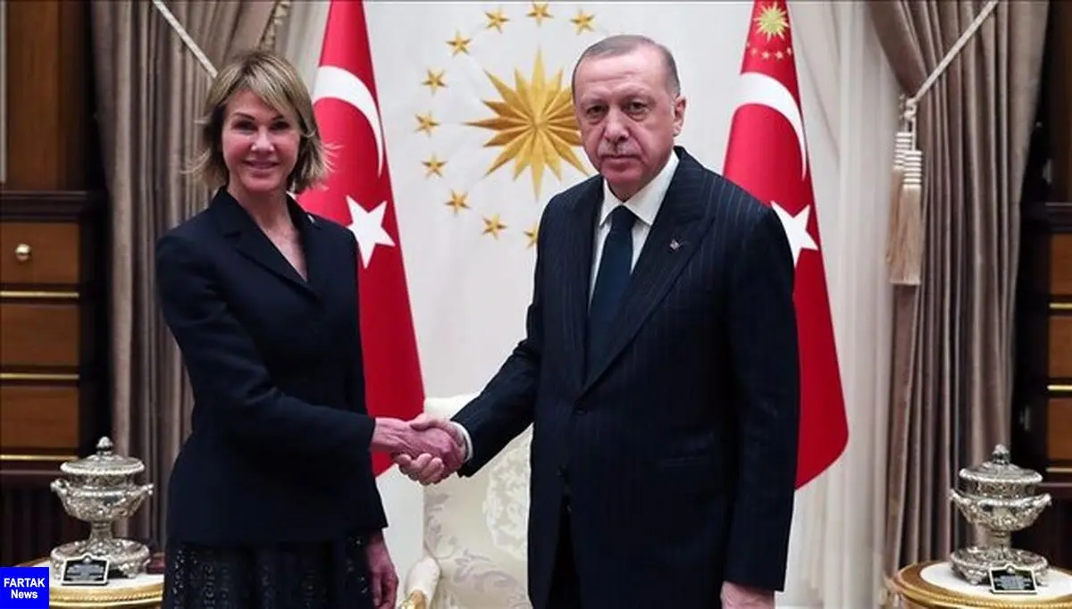 دیدار اردوغان با دیپلمات‌های اروپایی و آمریکایی
