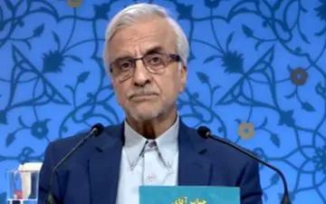 طعنه هاشمی‌طبا: برخی از افراد نقش عروسک خیمه شب بازی را داشتند