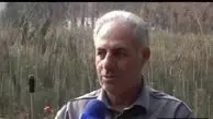 ظرفیت تولید یک میلیارد نهال گلدانی در نهالستان‌های کشور/ سامانه رصد و پایش تولید و کاشت درخت اسفند ماه راه‌اندازی می‌شود