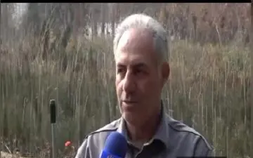 ظرفیت تولید یک میلیارد نهال گلدانی در نهالستان‌های کشور/ سامانه رصد و پایش تولید و کاشت درخت اسفند ماه راه‌اندازی می‌شود