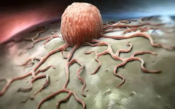 مراقب باشید: مصرف این آجیل شما را در معرض سرطان کبد قرار می‌دهد!