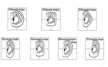 فرم گوش هات رو بگو چه شکلیه تا بهت بگم چه شخصیتی داری!