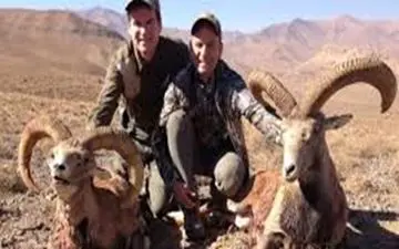 جریمه 35 میلیون تومانی در انتظار شکارچی غیرمجاز