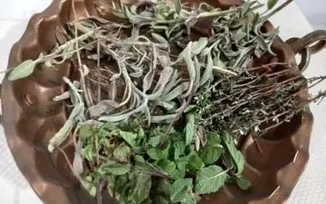  این ۳ گیاه برای سرفه‌ و عفونت‌های گلو معجزه می کنند