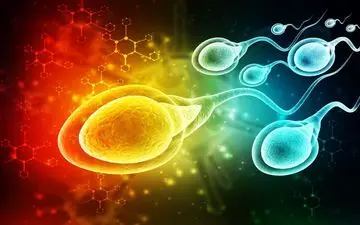  میکروپلاستیک در مایع منی؛ باروری مردان در خطر است