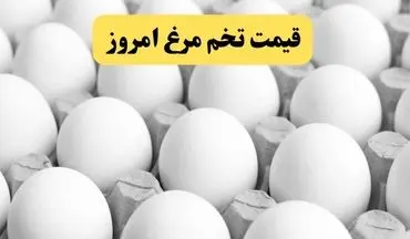 قیمت رسمی تخم‌مرغ امروز ۲۲ آذر ۱۴۰۴ اعلام شد؛ بازار چه نرخی دارد؟