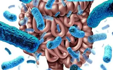 یک عامل مهم در پیشگیری از بیماری‌ها