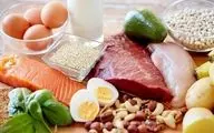 اهمیت مصرف پروتئین در زندگی روزمره