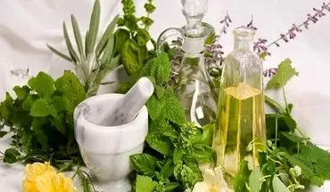 این گیاه علفی زانودرد، آب آوردگی مفصل را درمان، خون را تصفیه و بلغم را دفع می کند