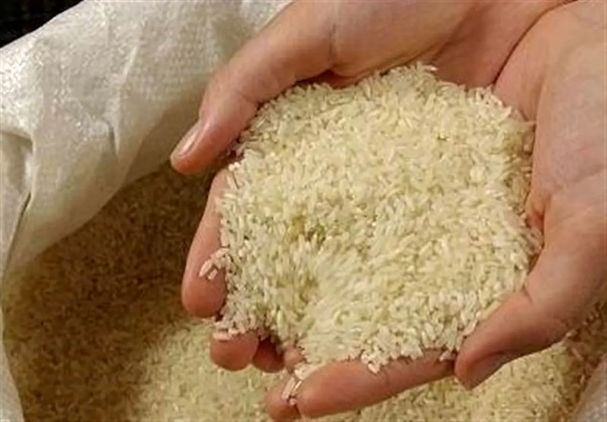  آغاز توزیع برنج شب عید در بازار از فردا