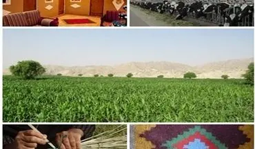 ۱۴۰ میلیارد تومان تسهیلات اشتغال‌زایی روستایی در استان بوشهر پرداخت شد 