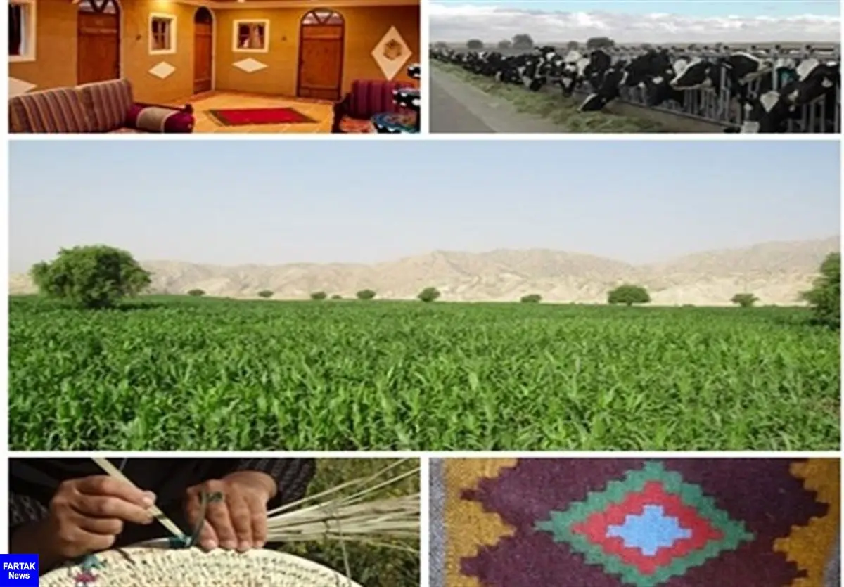۱۴۰ میلیارد تومان تسهیلات اشتغال‌زایی روستایی در استان بوشهر پرداخت شد 