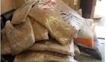 کشف ۵۸۵ کیلوگرم مواد مخدر در مرسولات پستی