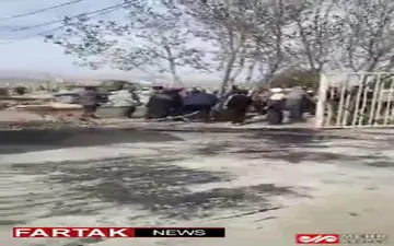 بریدن درختان همدان در روز درختکاری + فیلم